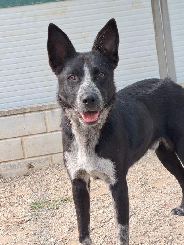 Valzer vi attende per ballare tutta la vita con lui Foto 4